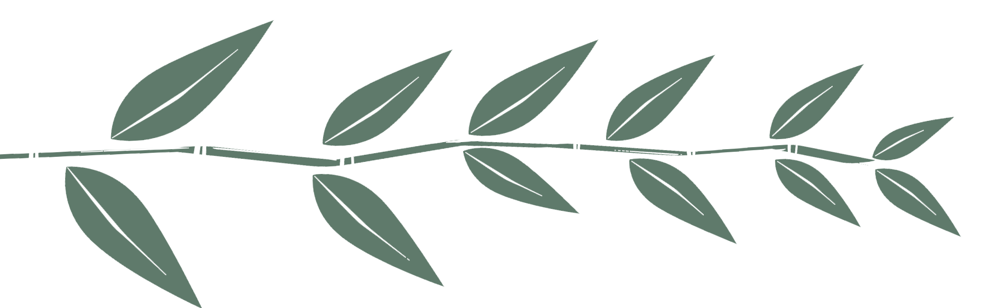 breaker image of a leaf